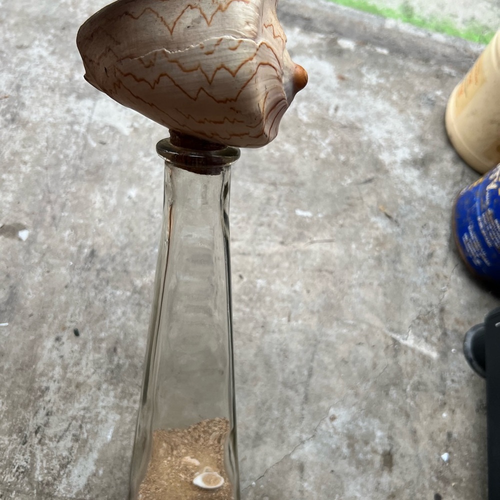 Seashell Glass Bottle Accent